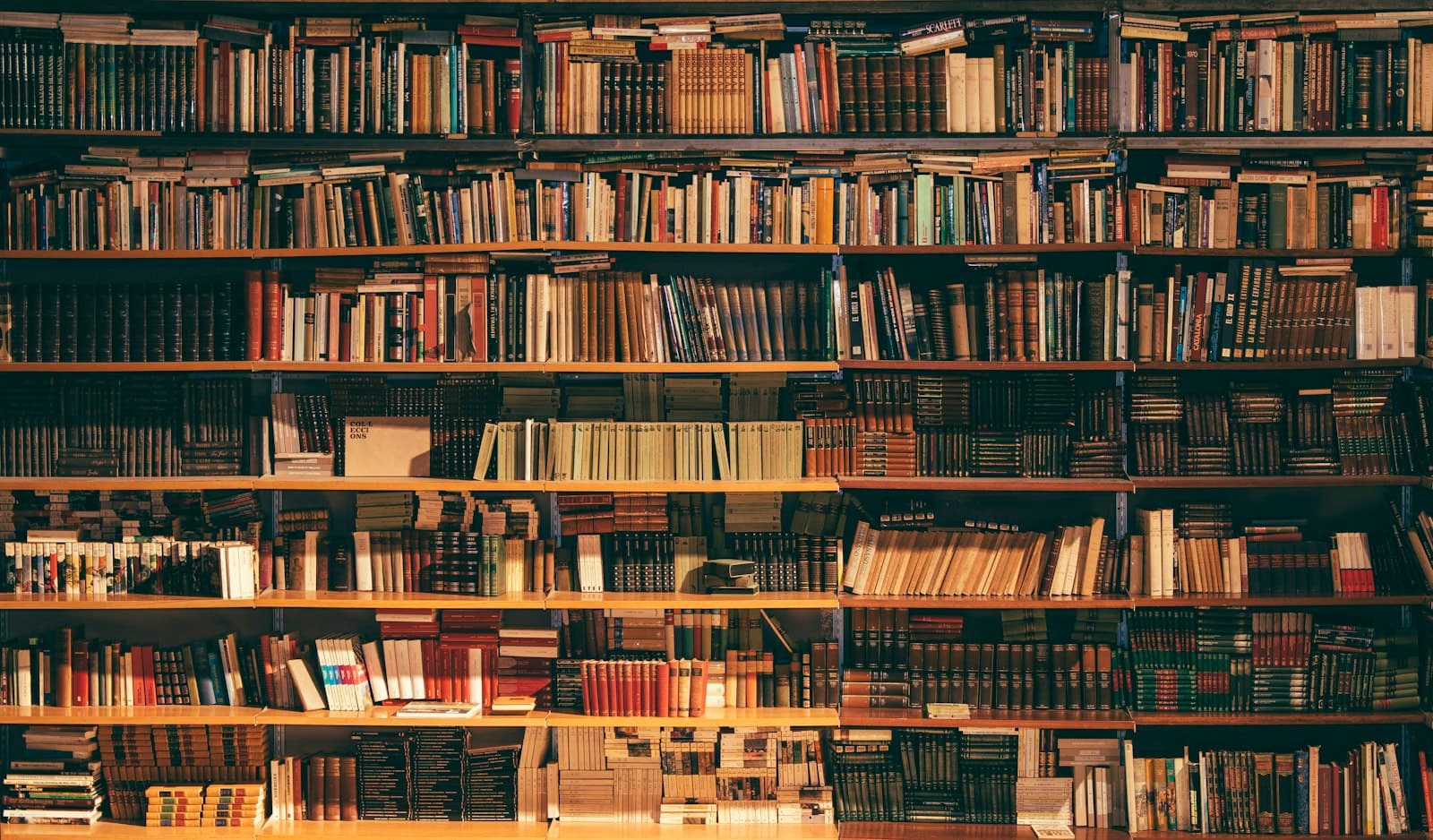 Shelves of books in a warm library